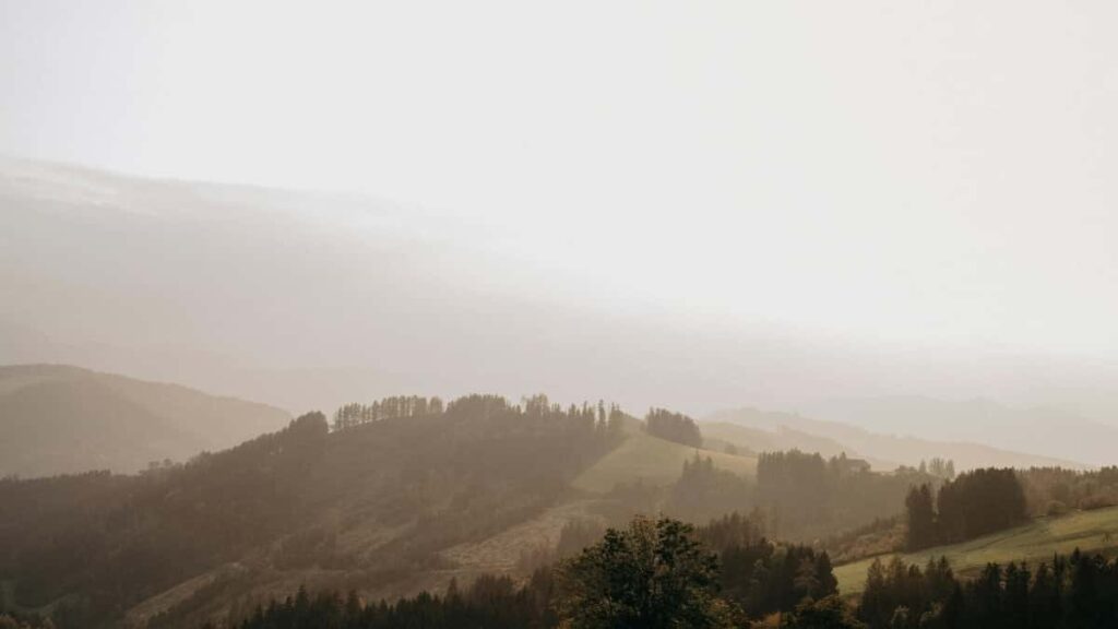 Top 10 WhatsApp Influencers om mee te werken in Norway