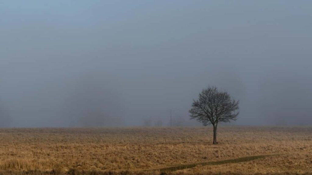 2025 Oostenrijk Instagram Advertentie Tarieven Overzicht