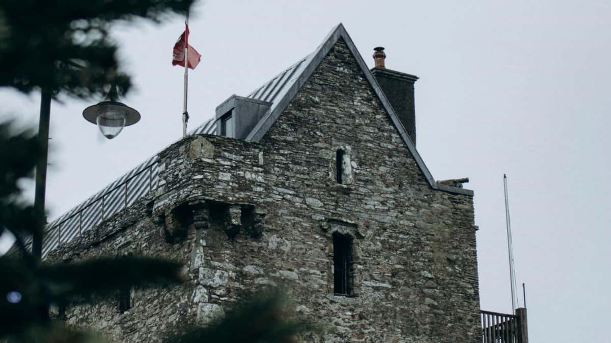Hoe adverteerders in Nederland Disney Plus Portugal gebruiken voor een knallende referral campagne