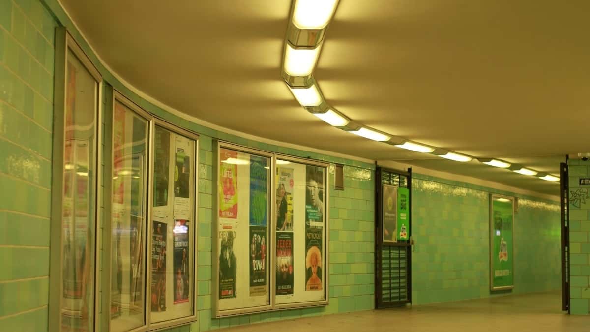 Creators in de Dominicaanse Republiek: QQ en feature producten in je dagelijkse routine