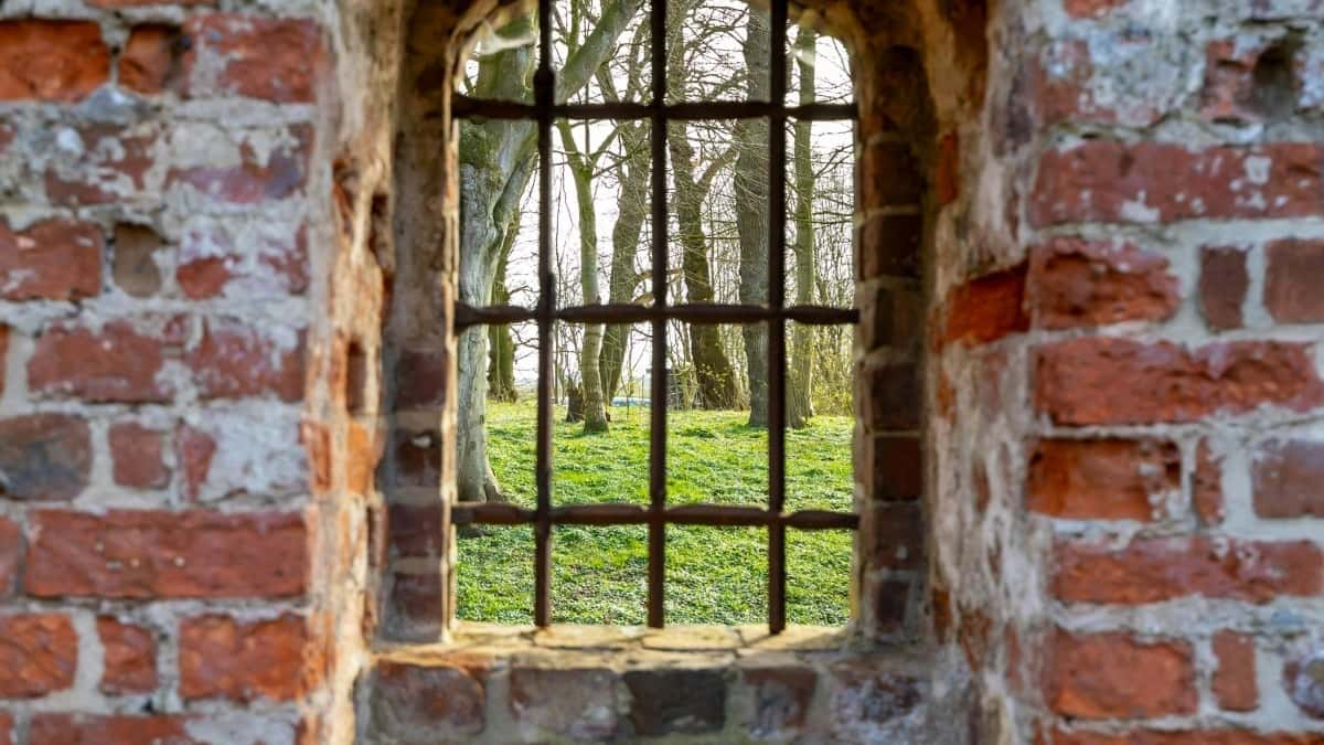 Hoe Italiaanse Moj-creators betaald worden voor testimonials: insider tips voor Nederlandse makers
