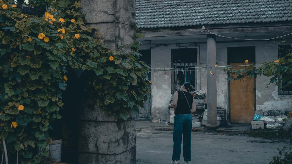 Nederlandse adverteerders: zo vind je Braziliaanse Hulu-creators voor vaste promotiedeals