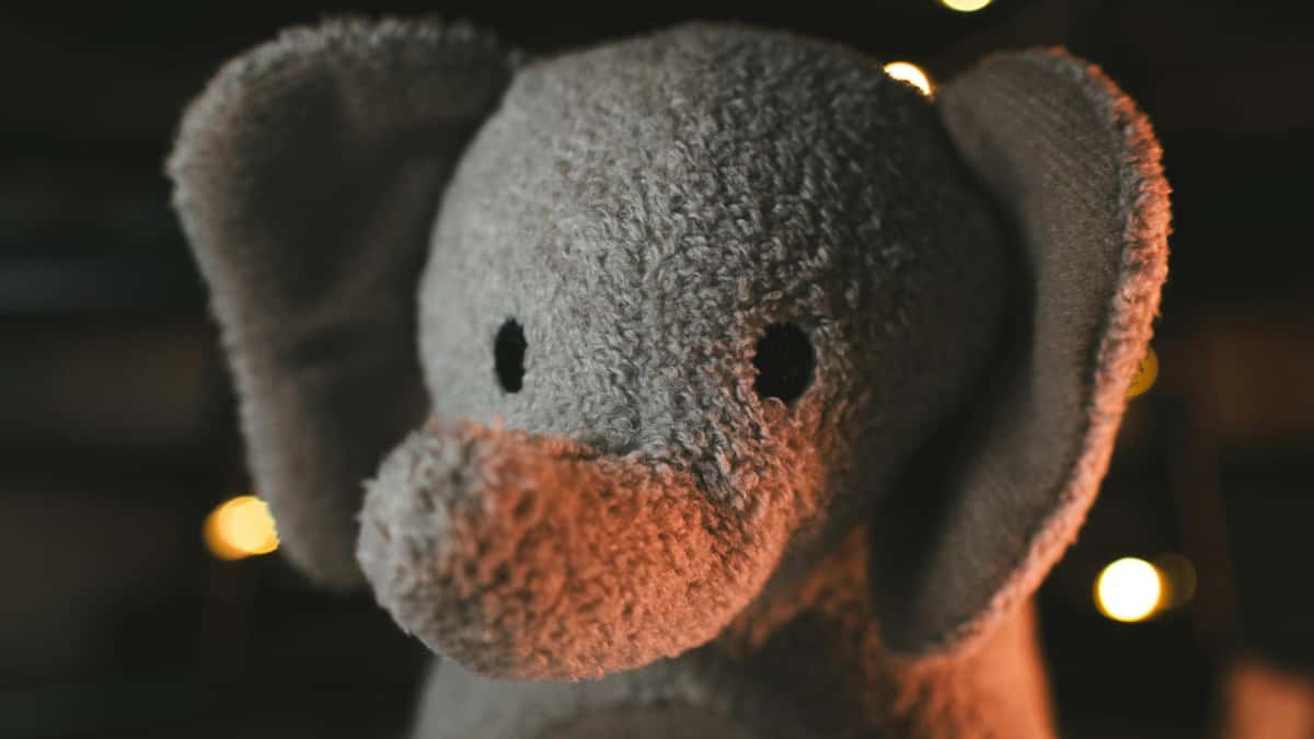 Creators: Australië-merken op Rumble boosten met CTAs