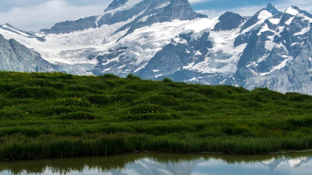 Praktische gids voor Nederlandse adverteerders: hoe je Kroatische Telegram creators vindt en product-seeding runt voor beautybloggers tools, prijzen en lokale tactieken.