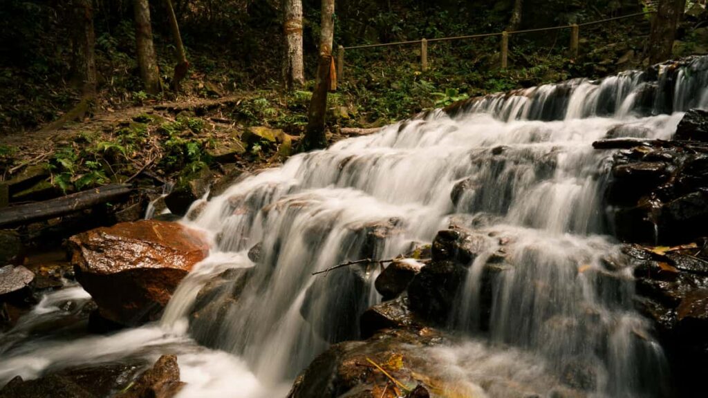 Praktische gids voor Nederlandse creators: hoe je Bangladeshse Etsy-verkopers benadert, samenwerkt aan productiviteitsgidsen en logistieke/markttrends slim inzet.