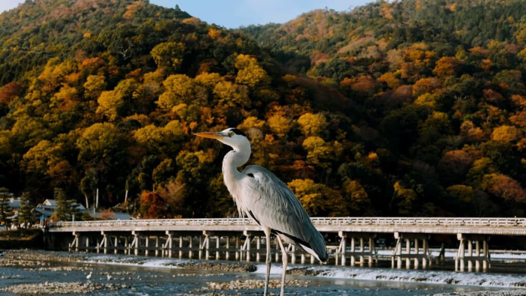 Praktische gids voor Nederlandse creators: hoe je Filipijnse merken op Threads target, sterke CTAs inzet en directe conversies realiseert.