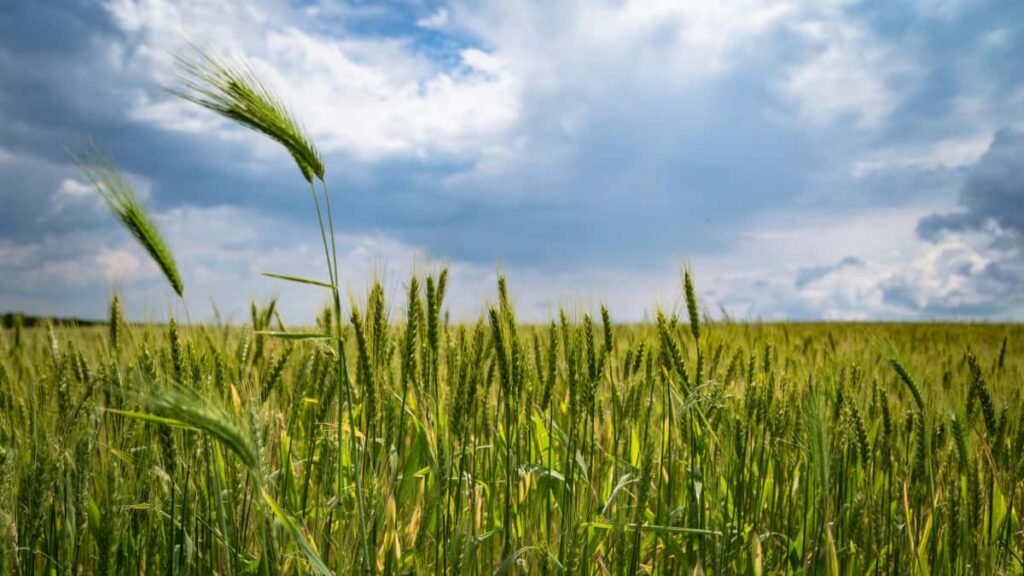 Praktische gids voor Nederlandse adverteerders: hoe je Armeense creators op Rumble vindt, selecteert en inzet om merkzichtbaarheid te vergroten.