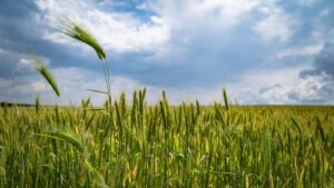 Praktische gids voor Nederlandse adverteerders: hoe je Armeense creators op Rumble vindt, selecteert en inzet om merkzichtbaarheid te vergroten.