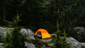 Praktische gids voor Nederlandse adverteerders: hoe je Litouwse Snapchat-creators vindt, screent en inzet om je merk lokaal te laten landen.