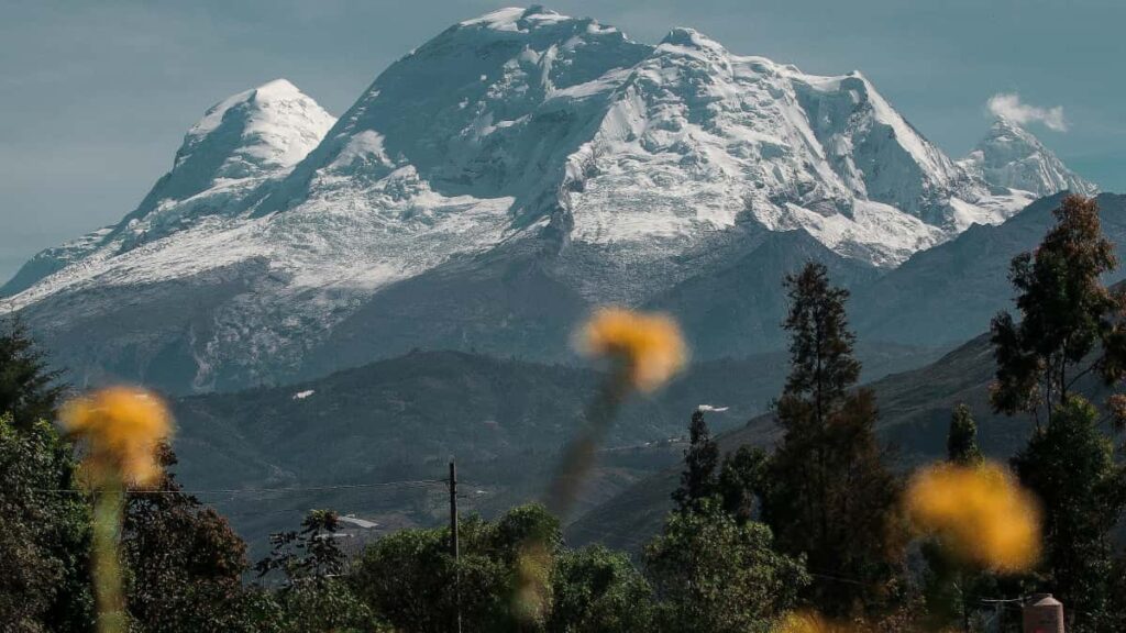 Praktische gids voor Nederlandse creators: stapsgewijs contact leggen met Japanse merken op Facebook om mee te doen aan exclusieve beta-lances. Inclusief outreach-scripts, lokale inzichten en risicos.