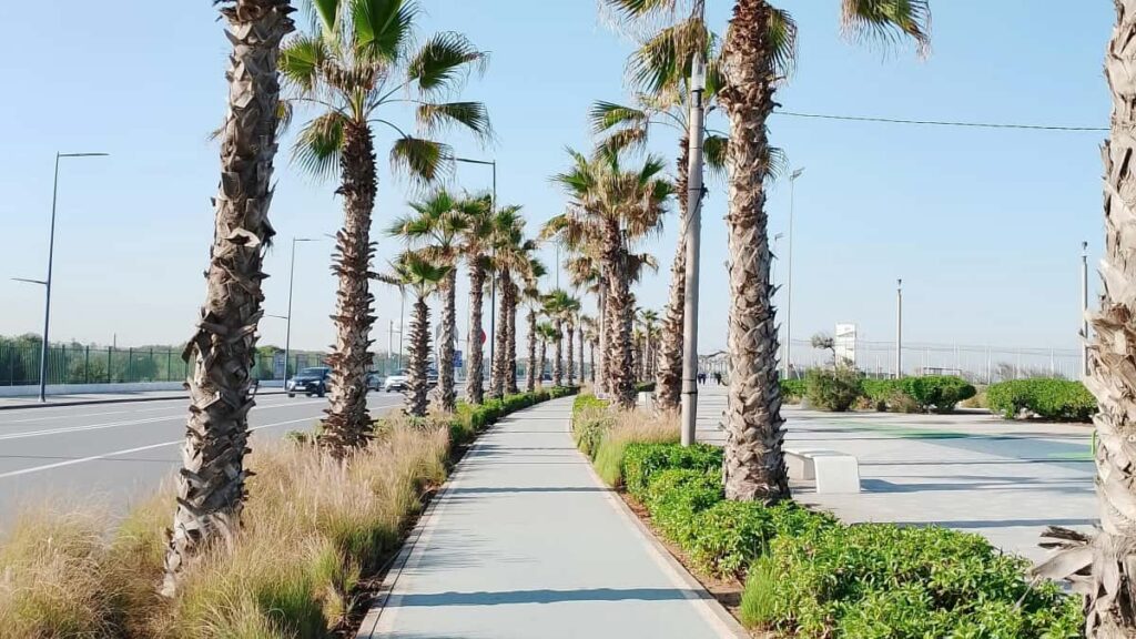 Praktische gids voor Nederlandse creators: hoe je Poolse merken via KakaoTalk benadert voor een giveaway met game keys tools, pitch, risico's en een stapsgewijs outreach-script.