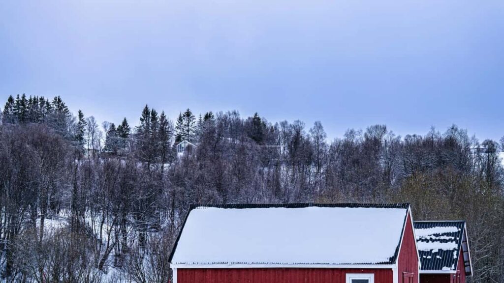 Praktische gids voor Nederlandse adverteerders: hoe je Tsjechische eBaycreators vindt en inzet voor reactioncampagnes rondom albums strategieen, platforms en compliance.