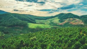 Praktische gids voor Nederlandse adverteerders: hoe je Portugal-based Apple Music creators vindt en inzet om awareness in gaming communities te boosten.