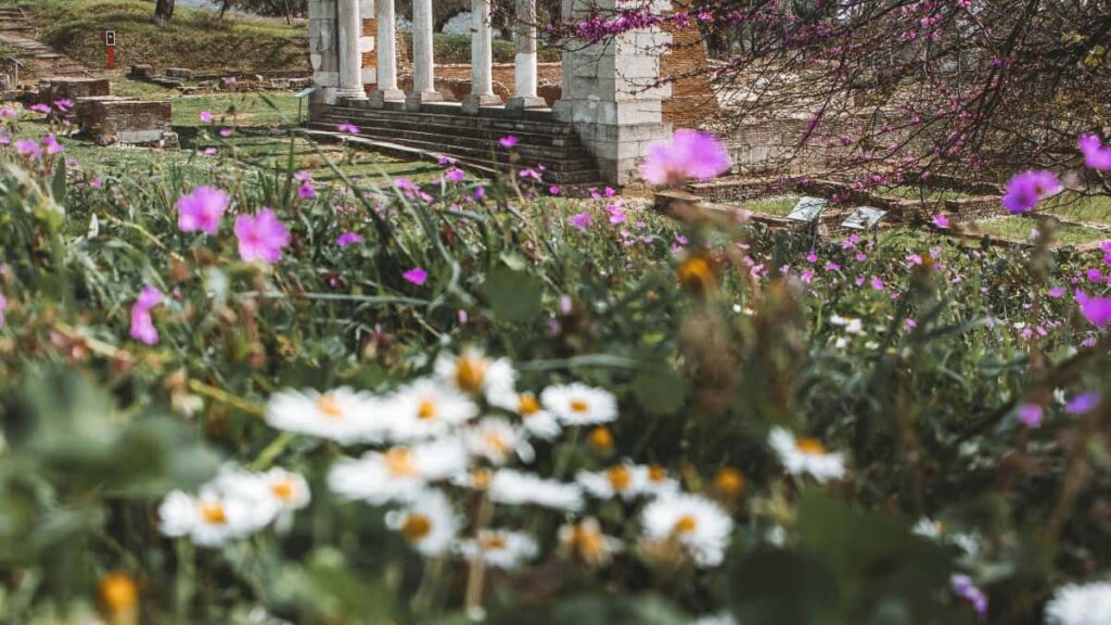 Praktische gids voor Nederlandse creators: stap-voor-stap hoe je Hongaarse merken op Roposo benadert met beforeandafter content en waarom culturele fit en data belangrijk zijn.