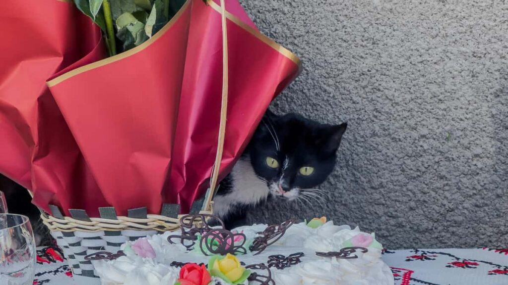 Praktische gids voor Nederlandse adverteerders: hoe je Argentijnse Apple Music-makers vindt, samenwerkt en verkeer naar je landingspagina stuurt met veilige, schaalbare tactieken.