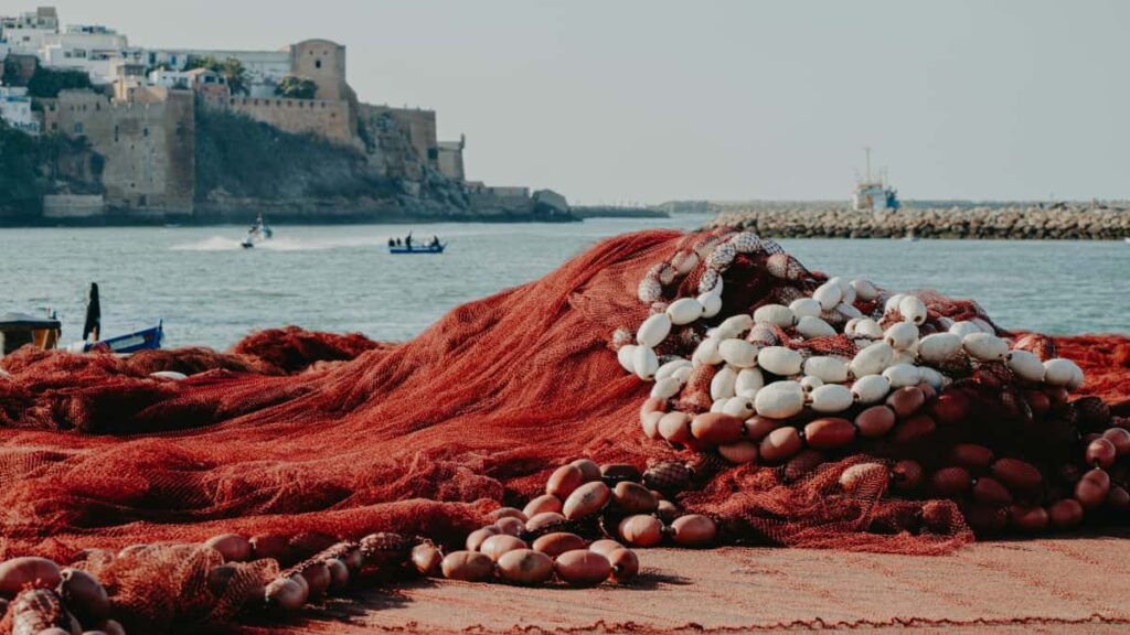 Praktische gids voor Nederlandse adverteerders: hoe je mid-tier Zalo-creators in India vindt, selecteert en ombouwt tot duurzame partners met lokale inzichten en platformtrends (2026).