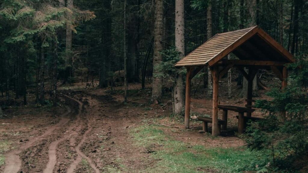 Praktische gids voor Nederlandse adverteerders: hoe je Turkse Pinterest-creators vindt en inzet voor real-life event vlogs, met slimme outreach, lokale inzichten en voorbeeldworkflows.